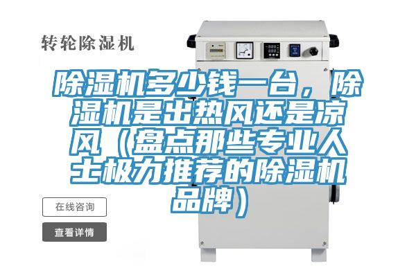 除濕機多少錢一臺，除濕機是出熱風(fēng)還是涼風(fēng)（盤點那些專業(yè)人士極力推薦的除濕機品牌）