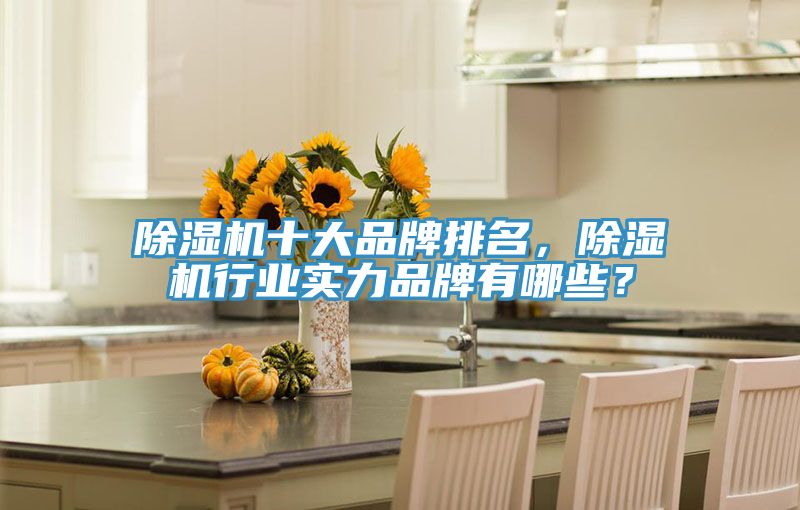 除濕機十大品牌排名，除濕機行業(yè)實力品牌有哪些？