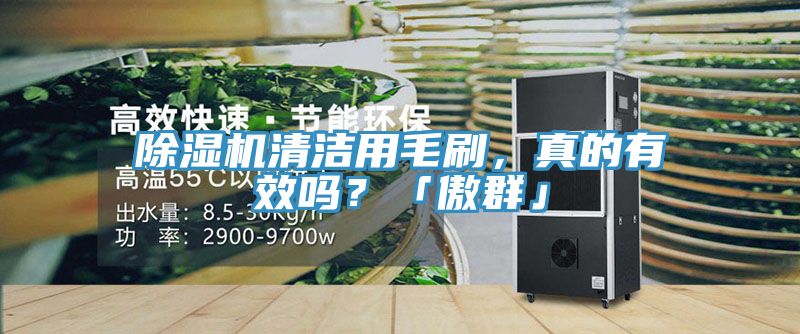 除濕機(jī)清潔用毛刷，真的有效嗎？「傲群」