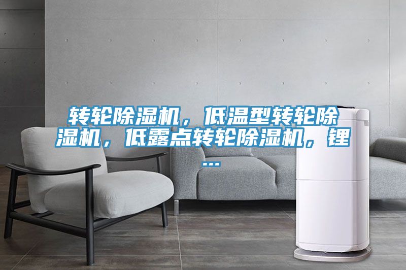 轉(zhuǎn)輪除濕機，低溫型轉(zhuǎn)輪除濕機，低露點轉(zhuǎn)輪除濕機，鋰 ...