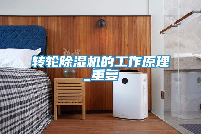 轉(zhuǎn)輪除濕機的工作原理_重復