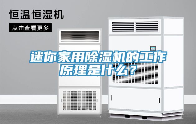 迷你家用除濕機的工作原理是什么？