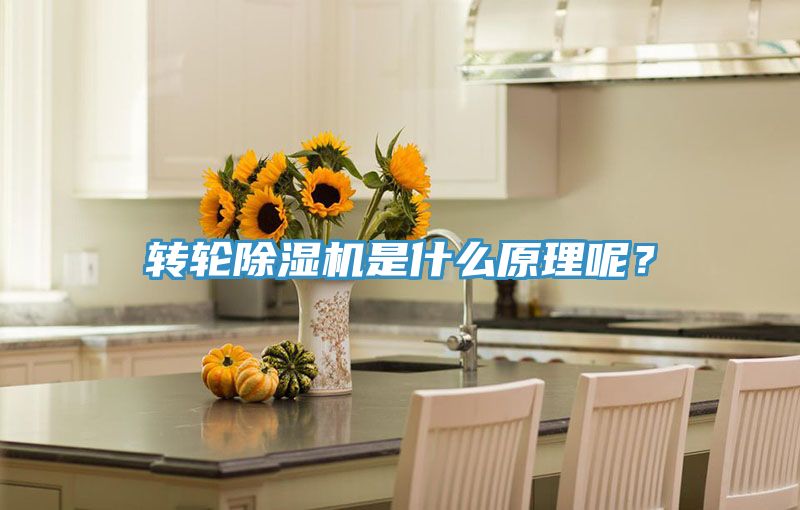 轉(zhuǎn)輪除濕機(jī)是什么原理呢？