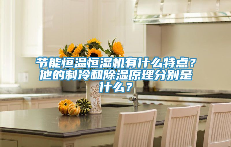 節(jié)能恒溫恒濕機(jī)有什么特點(diǎn)？他的制冷和除濕原理分別是什么？