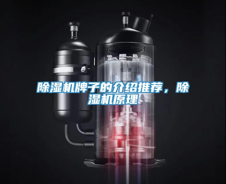 除濕機牌子的介紹推薦，除濕機原理