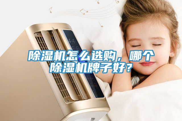 除濕機(jī)怎么選購(gòu)，哪個(gè)除濕機(jī)牌子好？