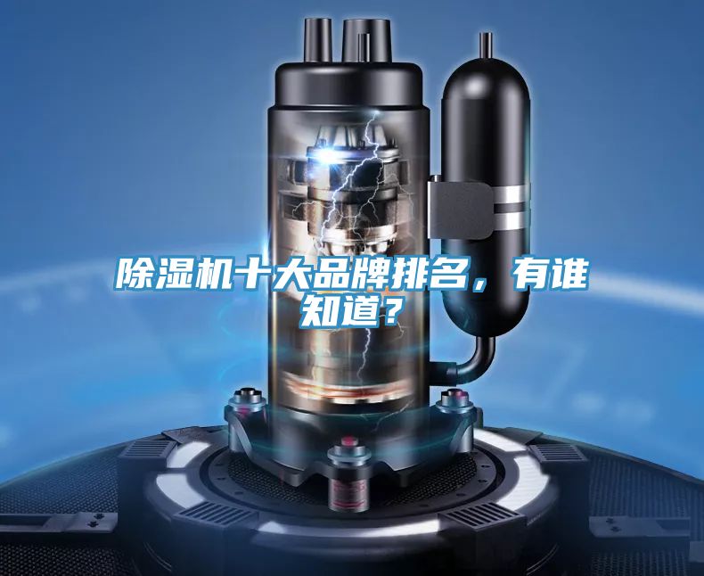 除濕機十大品牌排名，有誰知道？