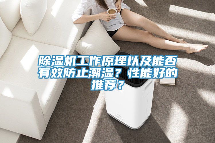 除濕機工作原理以及能否有效防止潮濕？性能好的推薦？