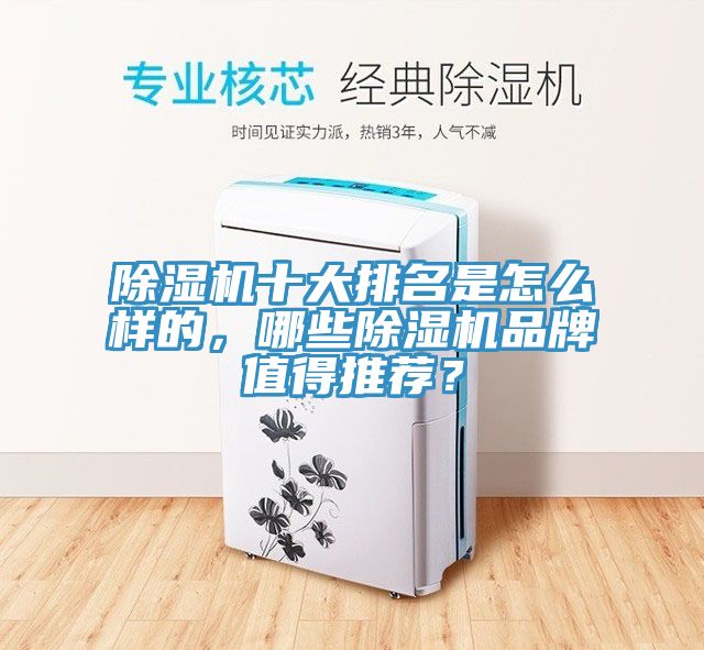 除濕機十大排名是怎么樣的，哪些除濕機品牌值得推薦？