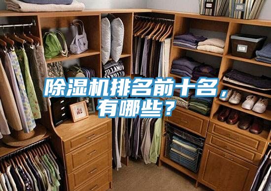 除濕機排名前十名，有哪些？