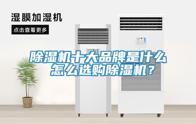 除濕機十大品牌是什么 怎么選購除濕機？