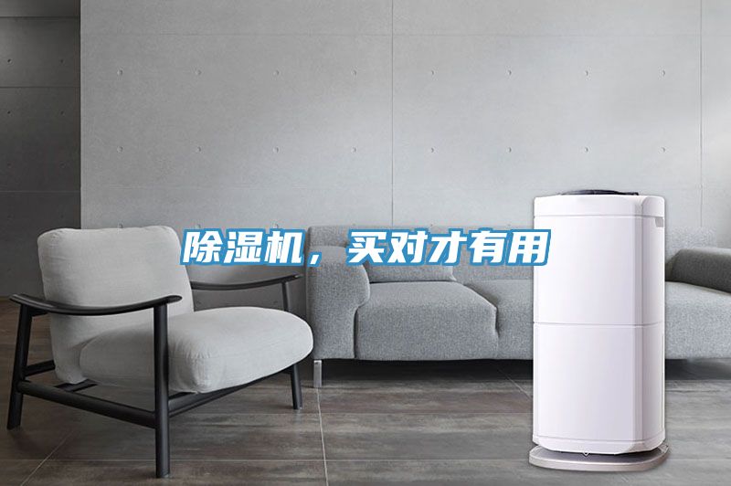 除濕機，買對才有用