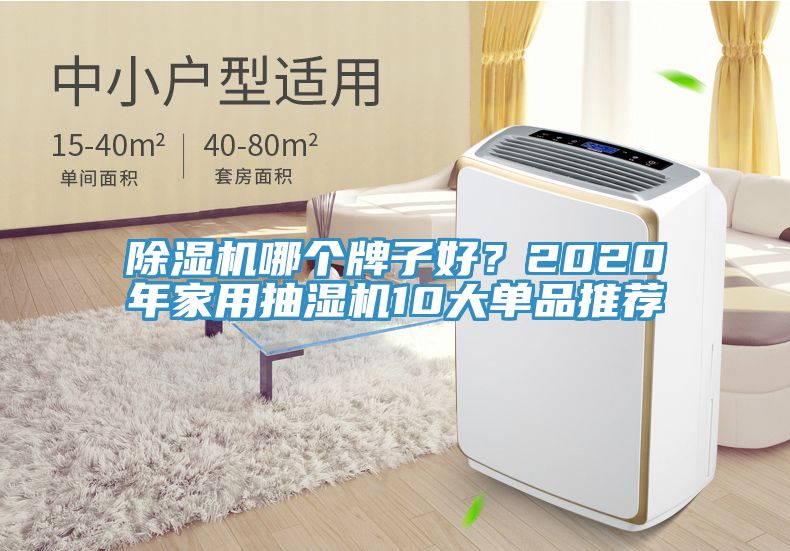除濕機(jī)哪個牌子好？2020年家用抽濕機(jī)10大單品推薦