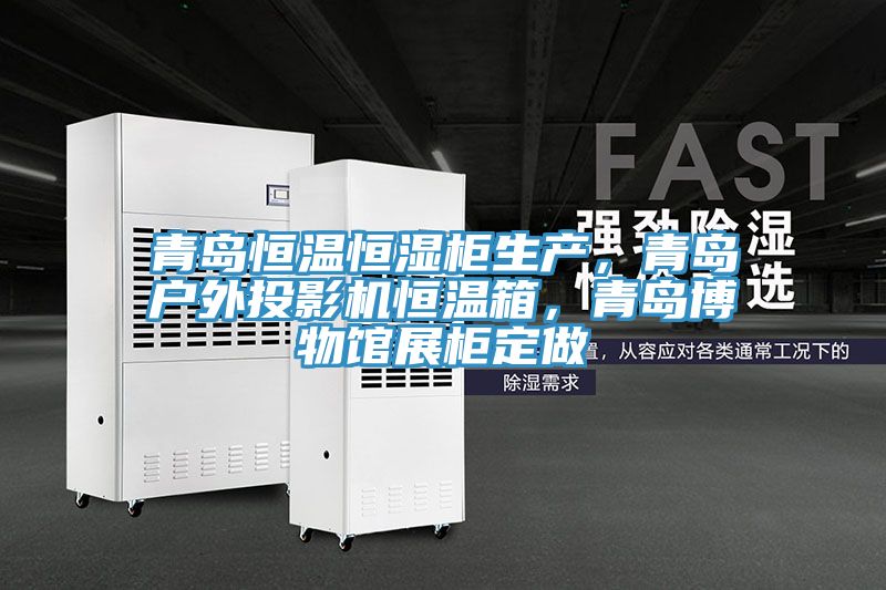 青島恒溫恒濕柜生產(chǎn)，青島戶外投影機恒溫箱，青島博物館展柜定做