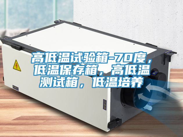 高低溫試驗(yàn)箱-70度，低溫保存箱，高低溫測(cè)試箱，低溫培養(yǎng)