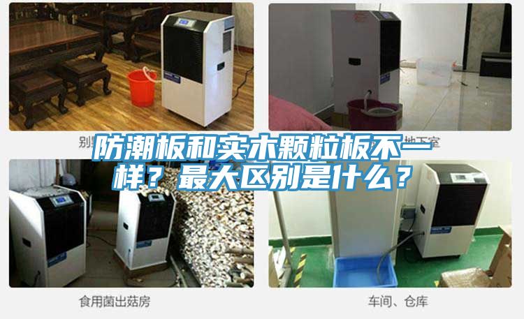 防潮板和實(shí)木顆粒板不一樣？最大區(qū)別是什么？
