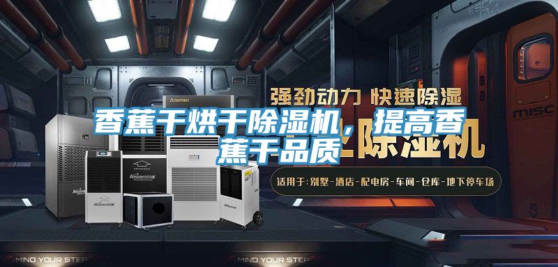 香蕉干烘干除濕機，提高香蕉干品質(zhì)