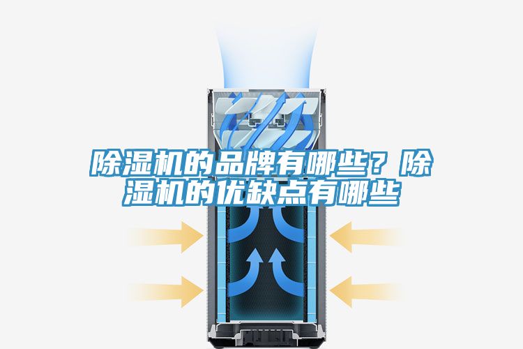 除濕機(jī)的品牌有哪些？除濕機(jī)的優(yōu)缺點有哪些