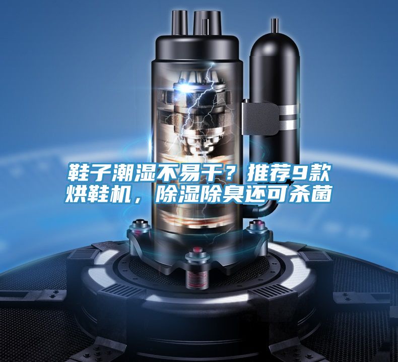 鞋子潮濕不易干？推薦9款烘鞋機，除濕除臭還可殺菌