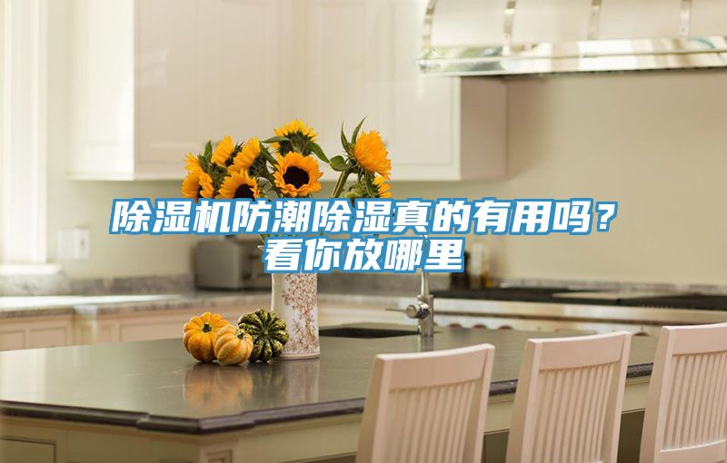 除濕機(jī)防潮除濕真的有用嗎？看你放哪里