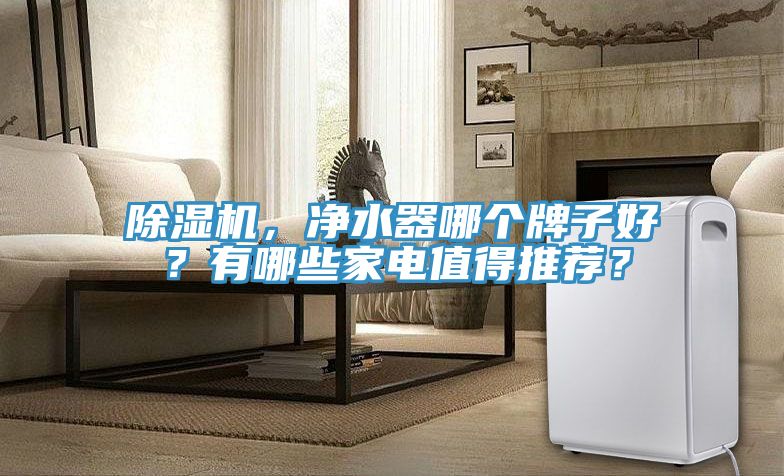 除濕機，凈水器哪個牌子好？有哪些家電值得推薦？