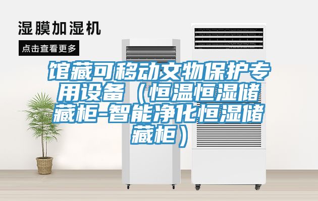 館藏可移動文物保護(hù)專用設(shè)備(恒溫恒濕儲藏柜-智能凈化恒濕儲藏柜)