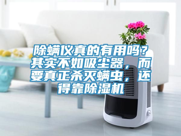 除螨儀真的有用嗎？其實不如吸塵器，而要真正殺滅螨蟲，還得靠除濕機