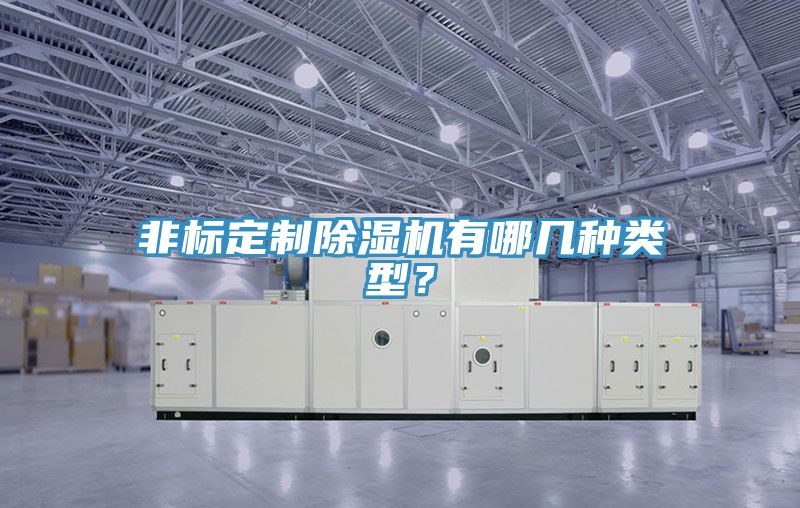 非標定制除濕機有哪幾種類型？