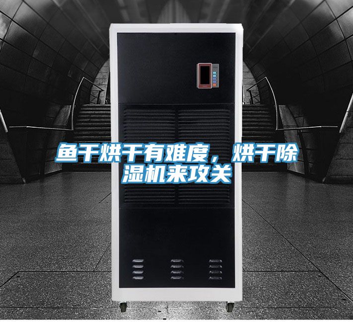 魚干烘干有難度，烘干除濕機來攻關(guān)