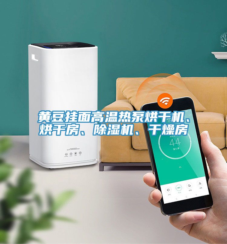 黃豆掛面高溫?zé)岜煤娓蓹C、烘干房、除濕機、干燥房