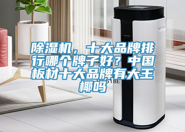 除濕機，十大品牌排行哪個牌子好？中國板材十大品牌有大王椰嗎