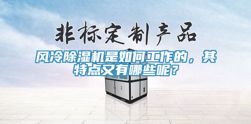 風冷除濕機是如何工作的，其特點又有哪些呢？