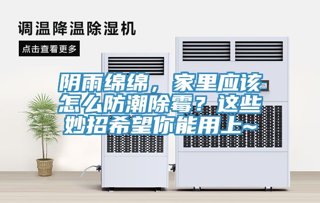 陰雨綿綿，家里應(yīng)該怎么防潮除霉？這些妙招希望你能用上~