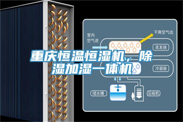 重慶恒溫恒濕機，除濕加濕一體機
