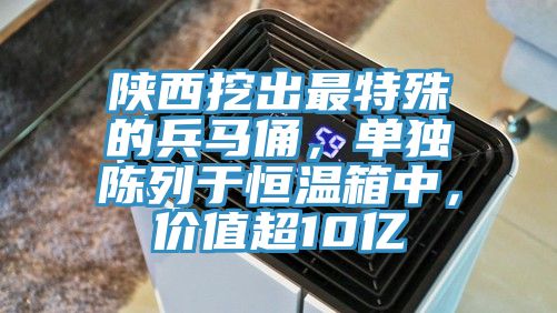 陜西挖出最特殊的兵馬俑，單獨(dú)陳列于恒溫箱中，價(jià)值超10億