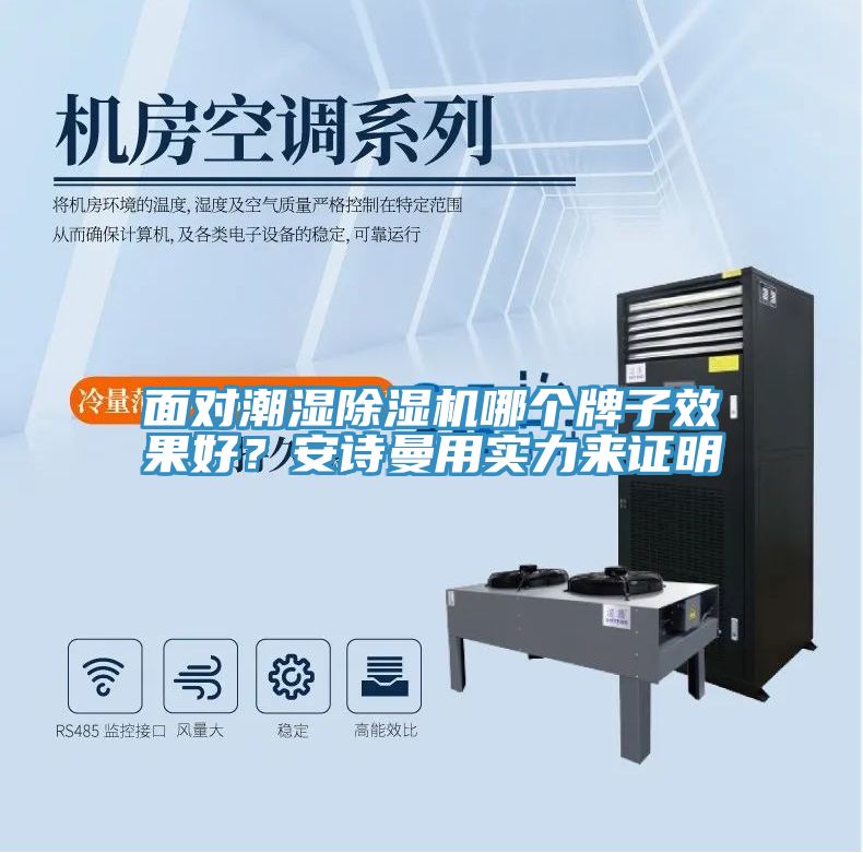 面對潮濕除濕機哪個牌子效果好？安詩曼用實力來證明
