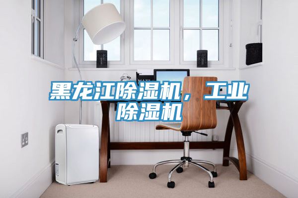 黑龍江除濕機，工業(yè)除濕機